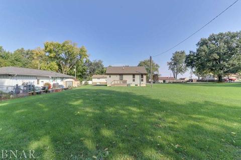 113 W North, Mclean, IL 61754 photo 6