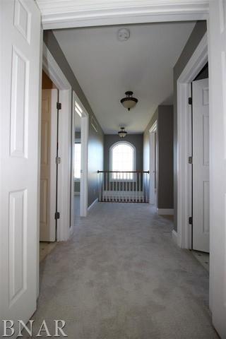 8293 Garden Rd, Carlock, IL 61725 photo 16