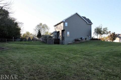 8293 Garden Rd, Carlock, IL 61725 photo 33