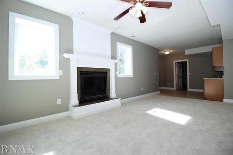 8293 Garden Rd, Carlock, IL 61725 photo 24