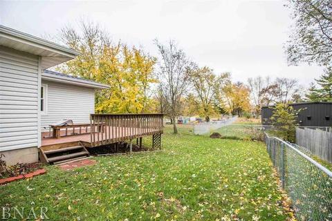 810 S Wright, Bloomington, IL 61701 photo 20