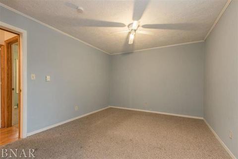 810 S Wright, Bloomington, IL 61701 photo 14