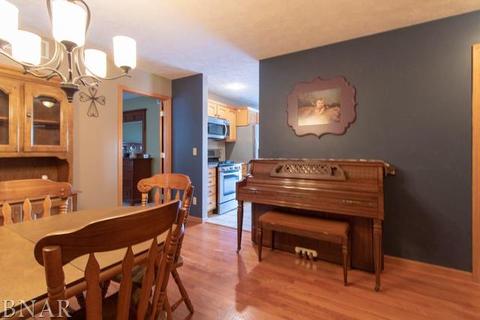 116 S Gadwall, Downs, IL 61736 photo 13