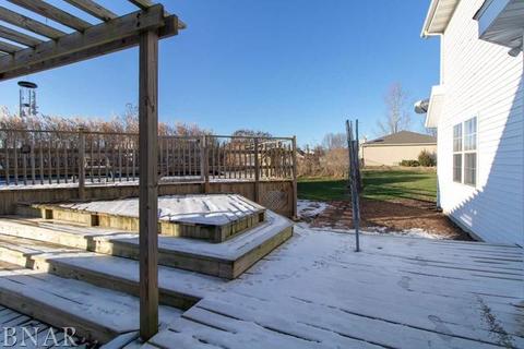 116 S Gadwall, Downs, IL 61736 photo 35