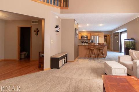 116 S Gadwall, Downs, IL 61736 photo 16