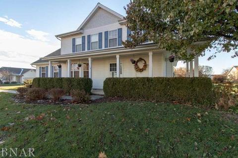 116 S Gadwall, Downs, IL 61736 photo 34