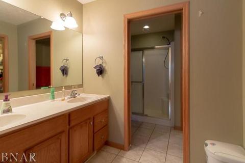 116 S Gadwall, Downs, IL 61736 photo 11