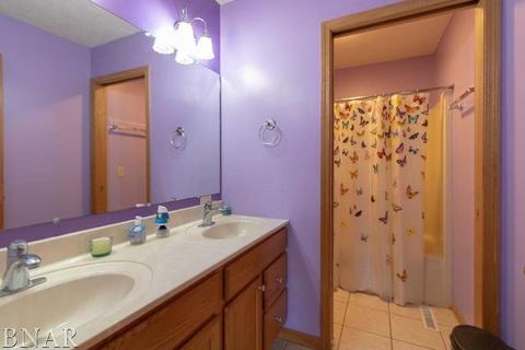 116 S Gadwall, Downs, IL 61736 photo 21