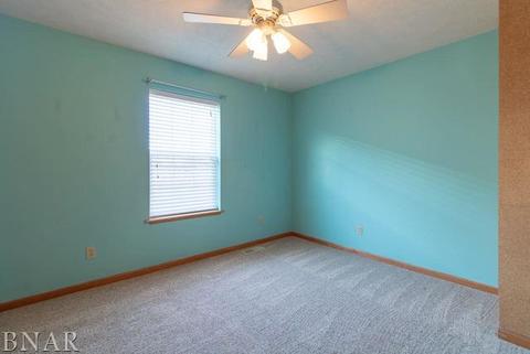 116 S Gadwall, Downs, IL 61736 photo 24
