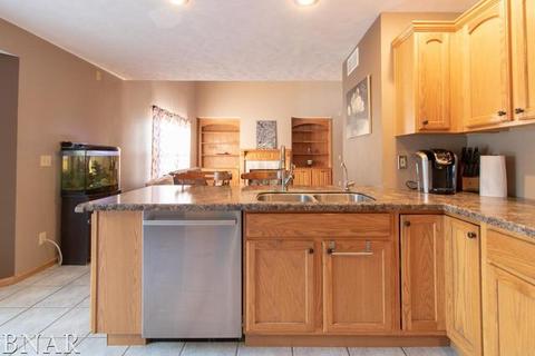 116 S Gadwall, Downs, IL 61736 photo 5