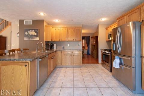 116 S Gadwall, Downs, IL 61736 photo 4