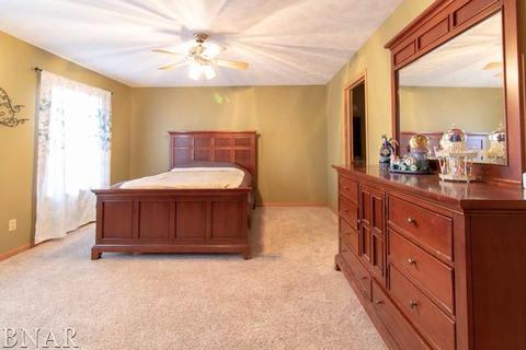 116 S Gadwall, Downs, IL 61736 photo 9