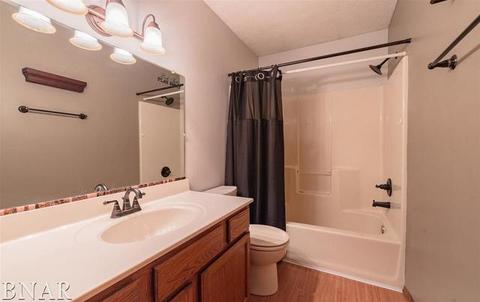 19 Edgewood Ct, Bloomington, IL 61701 photo 22