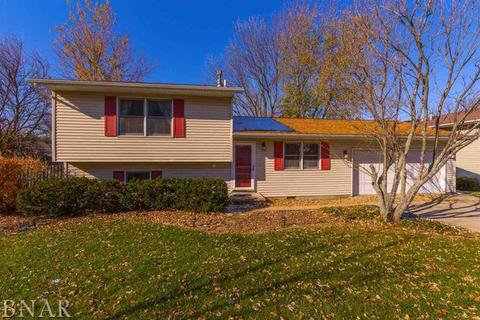 19 Edgewood Ct, Bloomington, IL 61701 photo 8