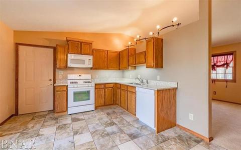 19 Edgewood Ct, Bloomington, IL 61701 photo 14