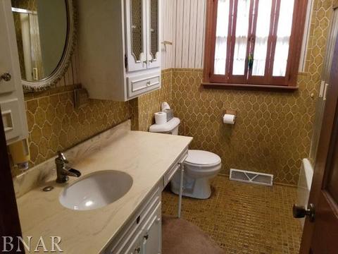 115 Doud Dr, Normal, IL 61761 photo 17