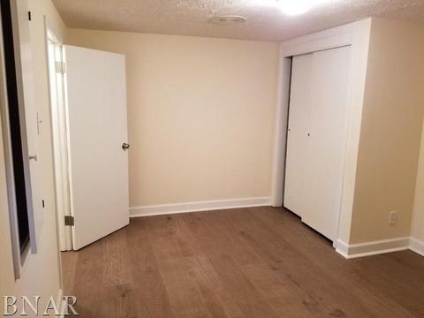 115 Doud Dr, Normal, IL 61761 photo 24