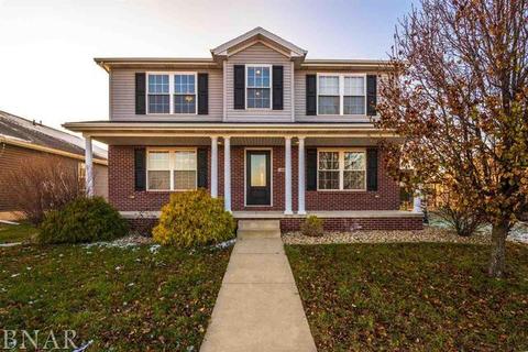 1645 Duncannon Dr, Normal, IL 61761 photo 36