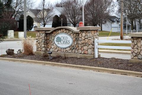 4128 Oak Tree Ln, Plainfield, IL 60586 photo 3
