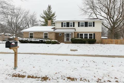 89 Redstart Rd, Naperville, IL 60565 photo 1