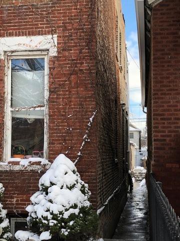 3019 S Normal Ave, Chicago, IL 60616 photo 5