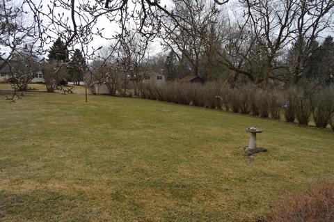 583 South Dr, Algonquin, IL 60102 photo 27