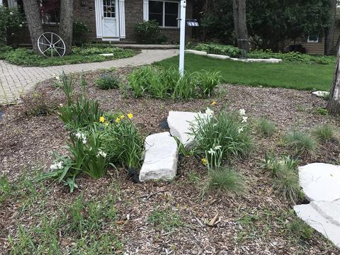 583 South Dr, Algonquin, IL 60102 photo 29