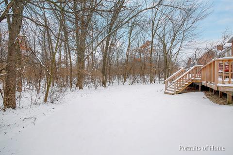 134 Circle Ridge Dr, Burr Ridge, IL 60527 photo 4
