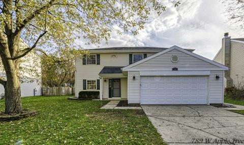 789 W Appletree Ln, Bartlett, IL 60103 photo 1