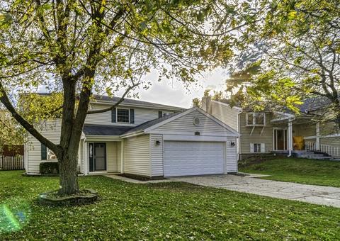 789 W Appletree Ln, Bartlett, IL 60103 photo 3
