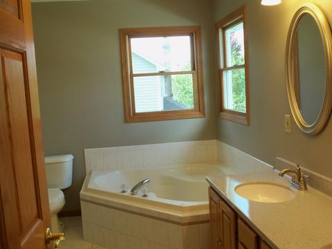 2009 Oak Forest Dr, Morris, IL 60450 photo 31