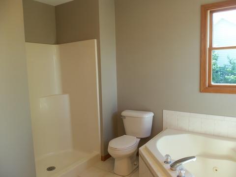 2009 Oak Forest Dr, Morris, IL 60450 photo 30