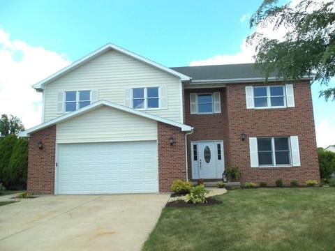 2009 Oak Forest Dr, Morris, IL 60450 photo 1