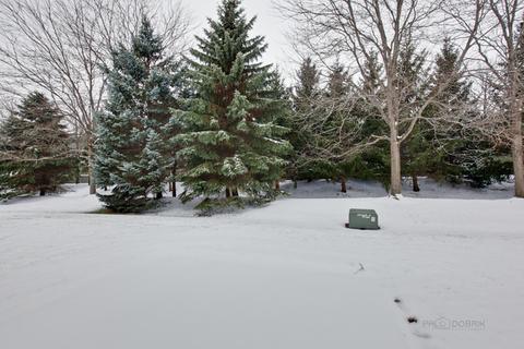 896 Mesa Dr, Elgin, IL 60123 photo 18