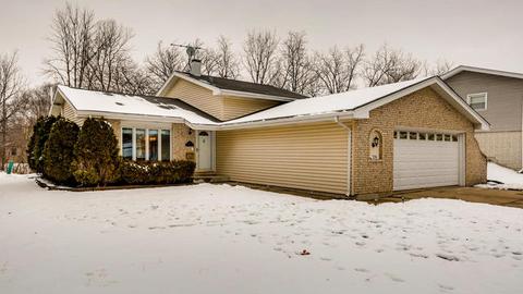 230 E Bradley St, Des Plaines, IL 60016 photo 2