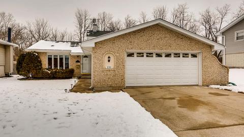 230 E Bradley St, Des Plaines, IL 60016 photo 1