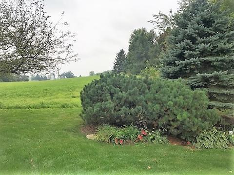 8 N261 Thomas Rd, Maple Park, IL 60151 photo 33