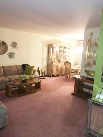 215 E Marion St, Thornton, IL 60476 photo 9
