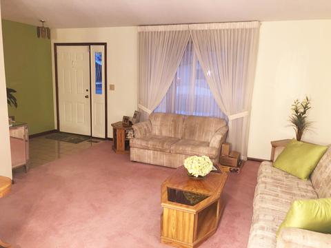 215 E Marion St, Thornton, IL 60476 photo 7