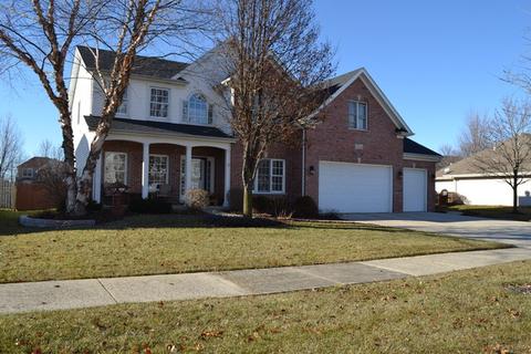 13340 Allyn St, Plainfield, IL 60585 photo 43
