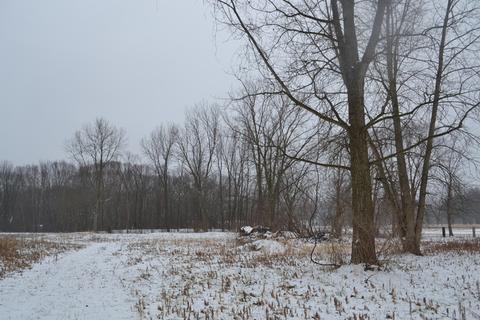 397 E Ridge St, Braidwood, IL 60408 photo 25