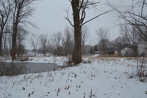 397 E Ridge St, Braidwood, IL 60408 photo 29