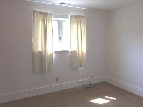 205 E 87th St, Chicago, IL 60619 photo 11