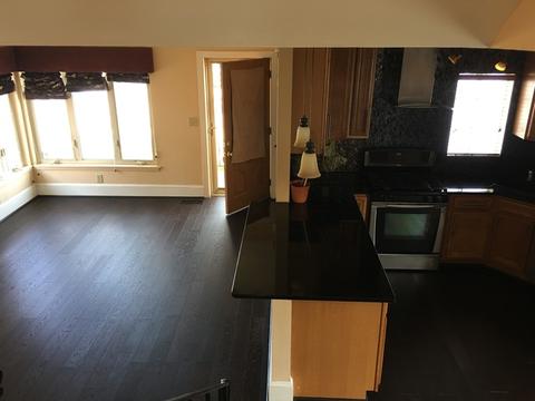 205 E 87th St, Chicago, IL 60619 photo 12