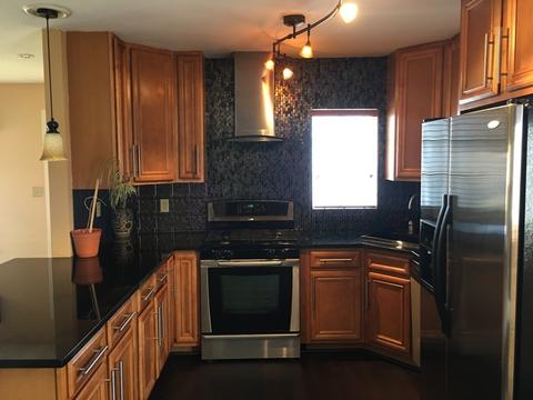 205 E 87th St, Chicago, IL 60619 photo 8