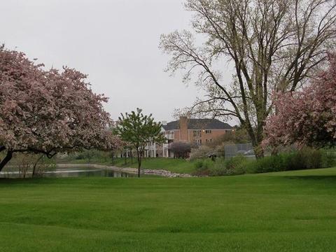 5500 Carriageway Dr #111C, Rolling Meadows, IL 60008 photo 23