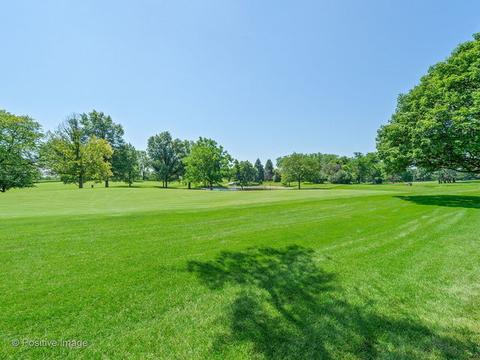 740 E Greenview Rd, Itasca, IL 60143 photo 23