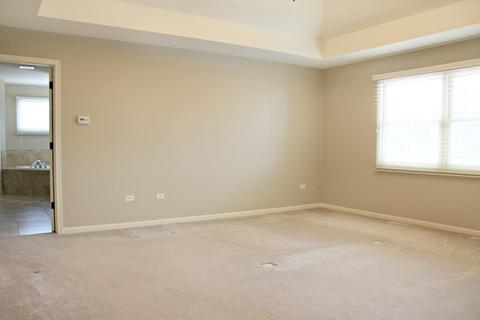 3603 Wetlands Dr, Elgin, IL 60124 photo 26