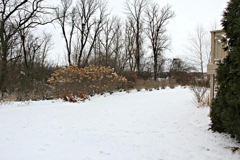 3603 Wetlands Dr, Elgin, IL 60124 photo 37