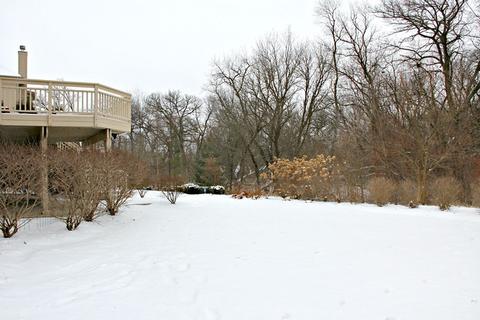 3603 Wetlands Dr, Elgin, IL 60124 photo 36
